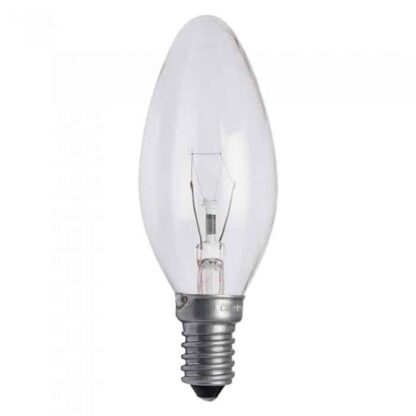 Clear Candle Household Incandescent Light Bulb 240v - SES