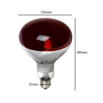 WOLF Cooker Ventilation Hood R40 R125 E27 Infrared Heat Lamp 220-240V 250W Bulb - Image 2
